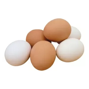 Яйцо куриное оптом С0 С1 С2