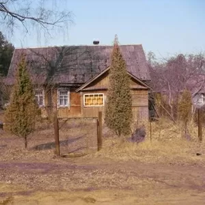 Продается дача в Псковской области,  п. Опухлики у берега озера М.Иван 